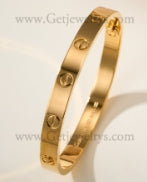 202522007 Classics Love Bracelet Yellow Gold
