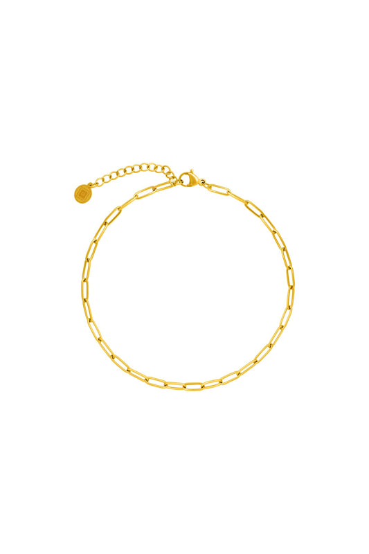 Rectangle Link Anklet